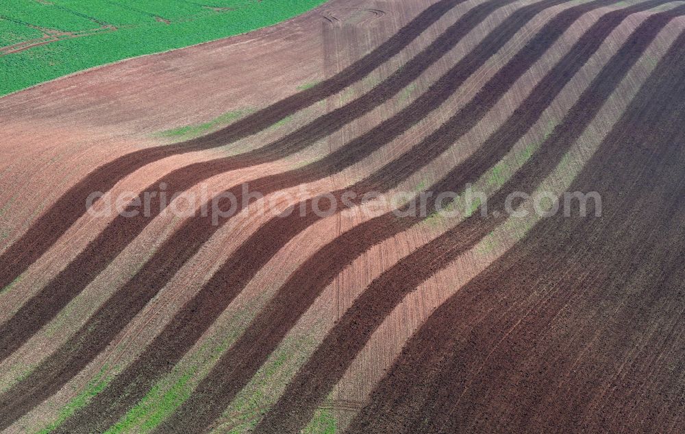 Wettin-Löbejün from above - Plowed fields in rows on the waves of a hilly landscape in Wettin-Loebejuen in the state Saxony-Anhalt, Germany