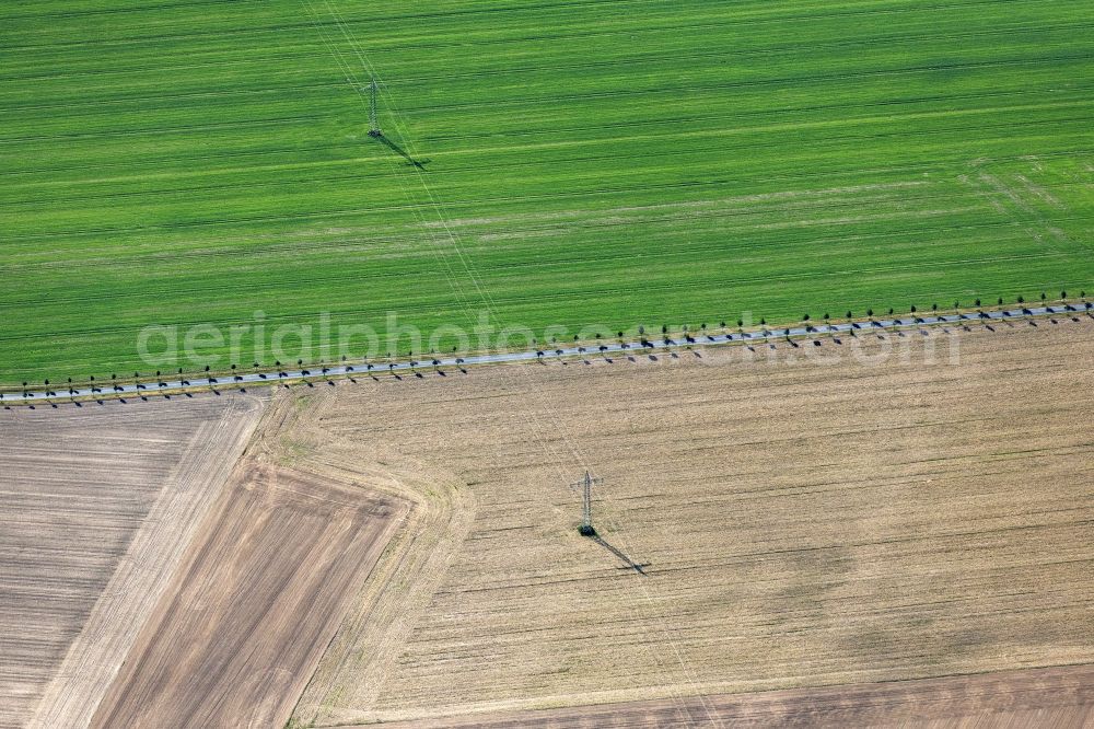 Aerial photograph Treuenbrietzen - Plowed field with power line route on street B2 in Treuenbrietzen in the state Brandenburg, Germany