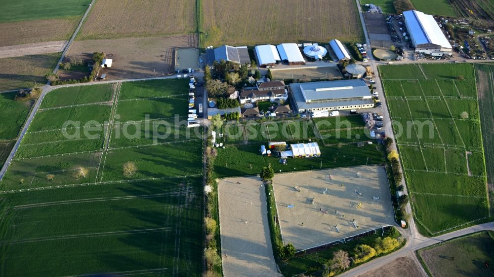 Aerial photograph Bornheim - Aluta stud in the state North Rhine-Westphalia, Germany