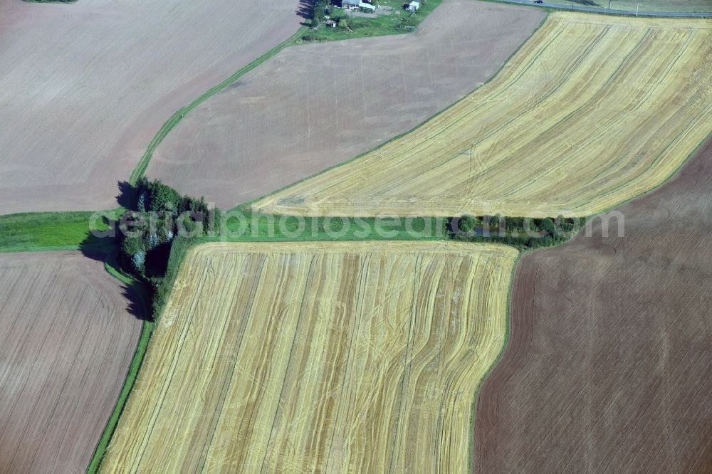Aerial photograph Dittersbach - Field structures near Dittersbach in the state Saxony