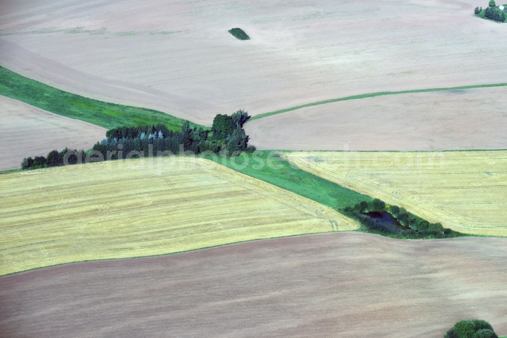 Aerial image Dittersbach - Field structures near Dittersbach in the state Saxony
