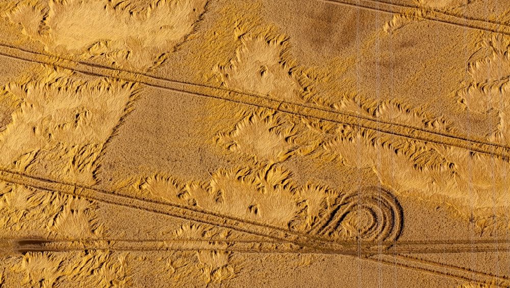 Kirchlengern from above - Field structures and tractor tracks in a field in the East of Kirchlengern in the state of North Rhine-Westphalia