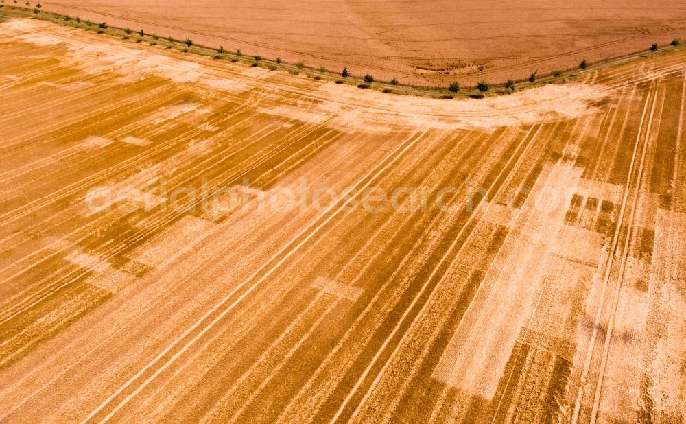 Aerial image Borna - Field structures in Borna in the state Saxony, Germany