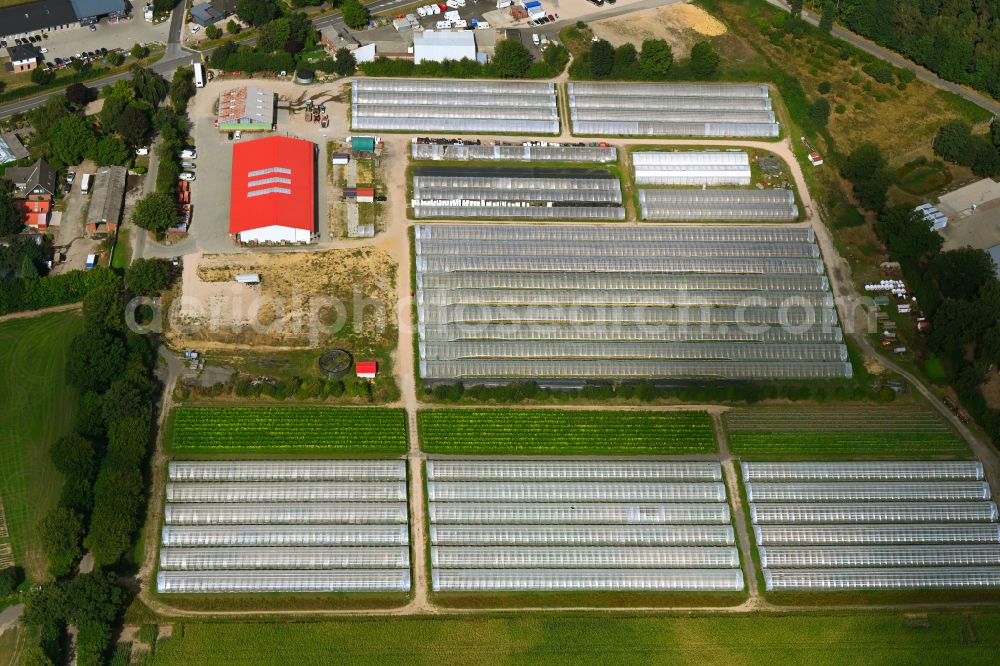Aerial photograph Fuhlendorf - Rows of greenhouses for growing plants Erdbeerhof Kaack on street Osterfeld in Fuhlendorf in the state Schleswig-Holstein, Germany