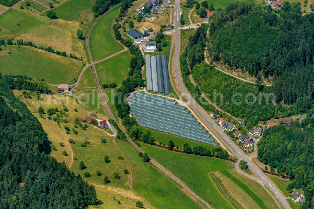 Oppenau from above - Rows of greenhouses for growing plants on street Schwarzwaldstrasse in Oppenau in the state Baden-Wuerttemberg, Germany