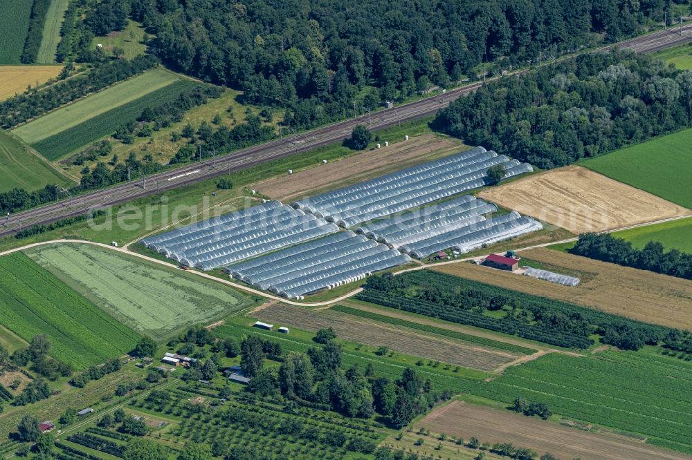 Aerial image Achern - Glass roof surfaces in the greenhouse for vegetable growing ranks An of Rheintal Bahnstrecke in Achern in the state Baden-Wuerttemberg, Germany