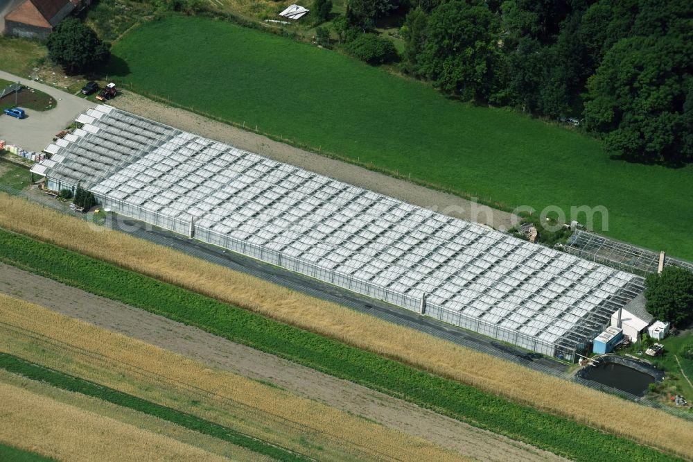 Aerial image Altlandsberg - Glass roof surfaces in the greenhouse rows for Floriculture in Altlandsberg in the state Brandenburg