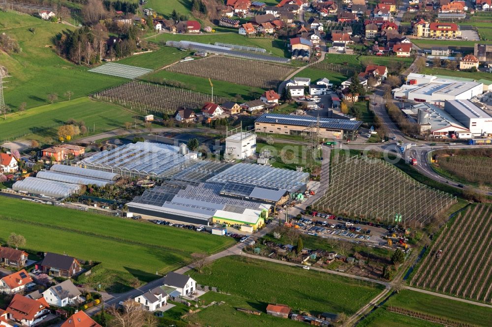 Aerial image Haslach im Kinzigtal - Glass roof surfaces in the greenhouse rows for Floriculture in the district Bollenbach in Haslach im Kinzigtal in the state Baden-Wuerttemberg, Germany