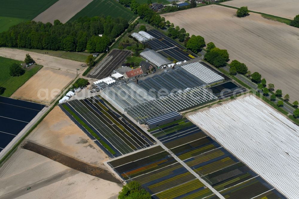 Kevelaer from the bird's eye view: Glass roof surfaces in the greenhouse rows for Floriculture in Kevelaer in the state North Rhine-Westphalia, Germany