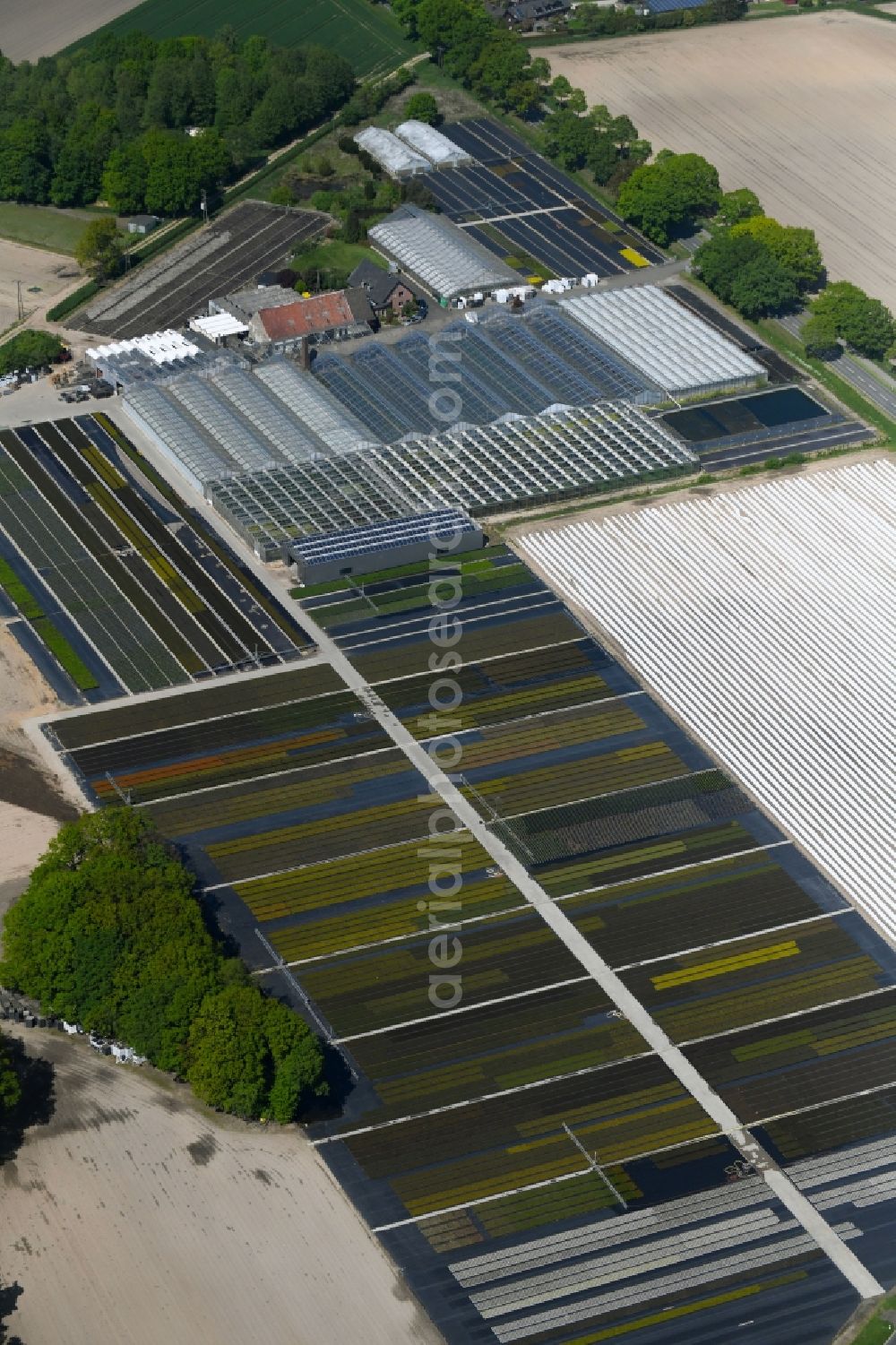 Aerial image Kevelaer - Glass roof surfaces in the greenhouse rows for Floriculture in Kevelaer in the state North Rhine-Westphalia, Germany