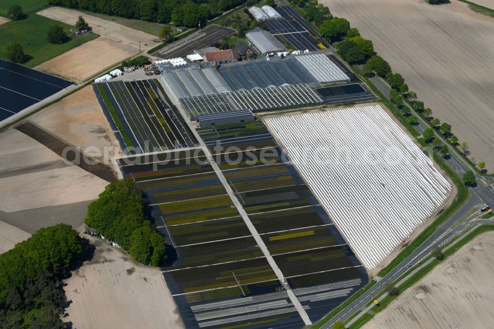 Aerial photograph Kevelaer - Glass roof surfaces in the greenhouse rows for Floriculture in Kevelaer in the state North Rhine-Westphalia, Germany