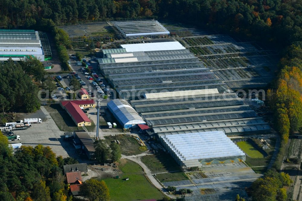 Aerial photograph Langerwisch - Glass roof surfaces in the greenhouse rows for Floriculture in Langerwisch in the state Brandenburg, Germany