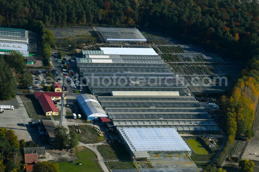 Langerwisch from above - Glass roof surfaces in the greenhouse rows for Floriculture in Langerwisch in the state Brandenburg, Germany