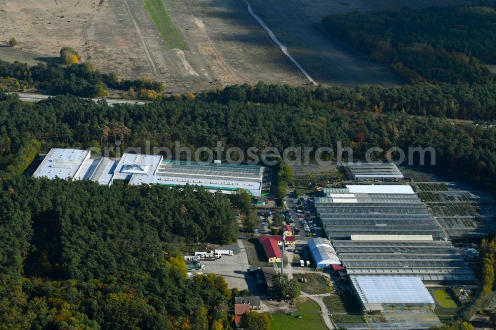 Langerwisch from the bird's eye view: Glass roof surfaces in the greenhouse rows for Floriculture in Langerwisch in the state Brandenburg, Germany