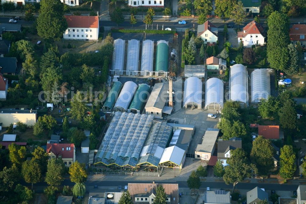 Aerial photograph Neuenhagen - Glass roof surfaces in the greenhouse rows for Floriculture in Neuenhagen in the state Brandenburg, Germany
