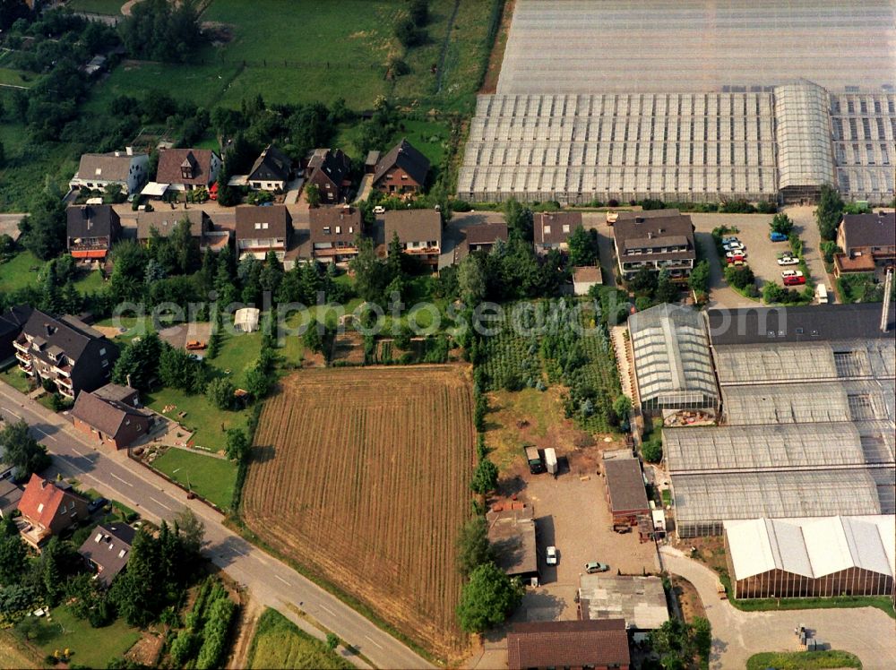 Aerial photograph Rheinberg - Glass roof surfaces in the greenhouse rows for Floriculture in the district Eversael in Rheinberg in the state North Rhine-Westphalia