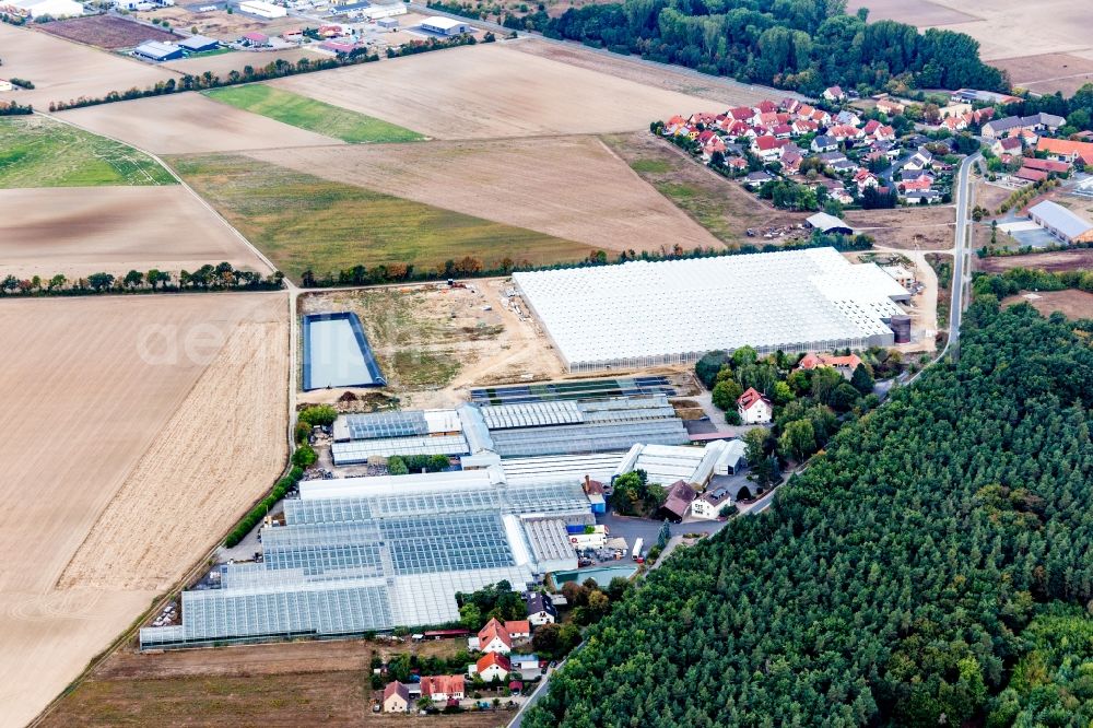 Aerial image Schwarzach am Main - Glass roof surfaces in the greenhouse rows for Floriculture in Schwarzach am Main in the state Bavaria, Germany