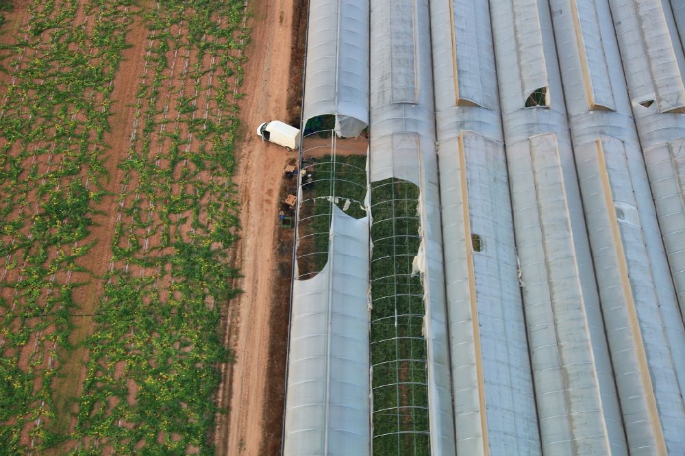 Inca from the bird's eye view: Roof surfaces in the greenhouse for vegetable growing ranks in Inca in Balearic Islands, Spain