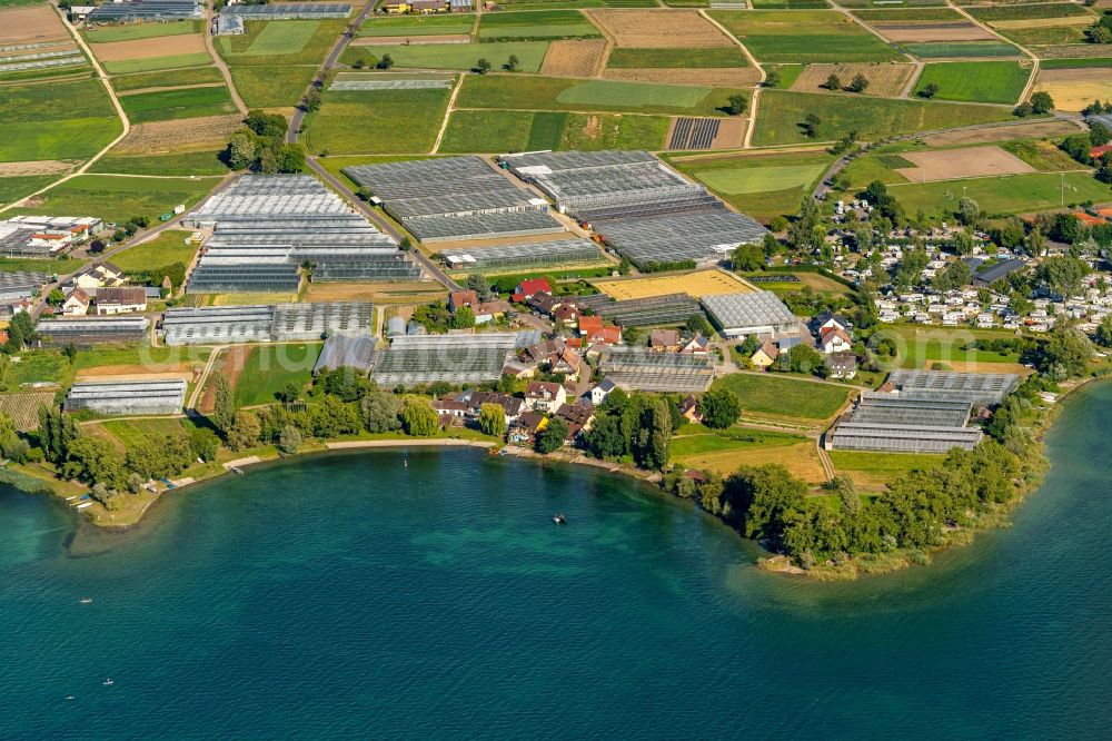 Reichenau from the bird's eye view: Glass roof surfaces in the greenhouse for vegetable growing ranks Bodensee Insel in Reichenau in the state Baden-Wurttemberg, Germany