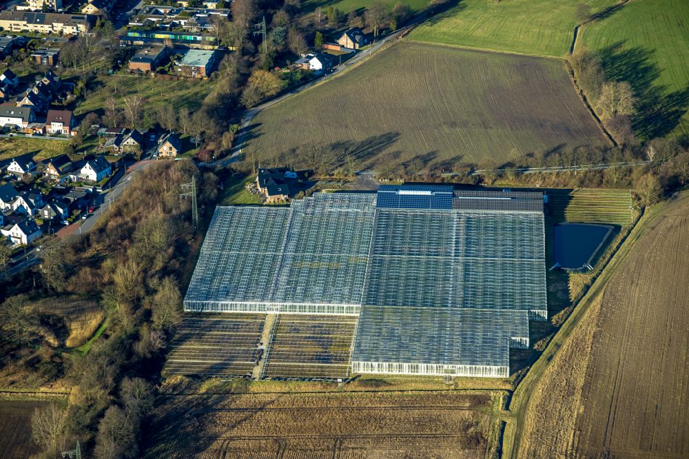Aerial image Bottrop - Glass roof surfaces in the greenhouse for vegetable growing ranks on street Tappenhof in the district Kirchhellen in Bottrop at Ruhrgebiet in the state North Rhine-Westphalia, Germany