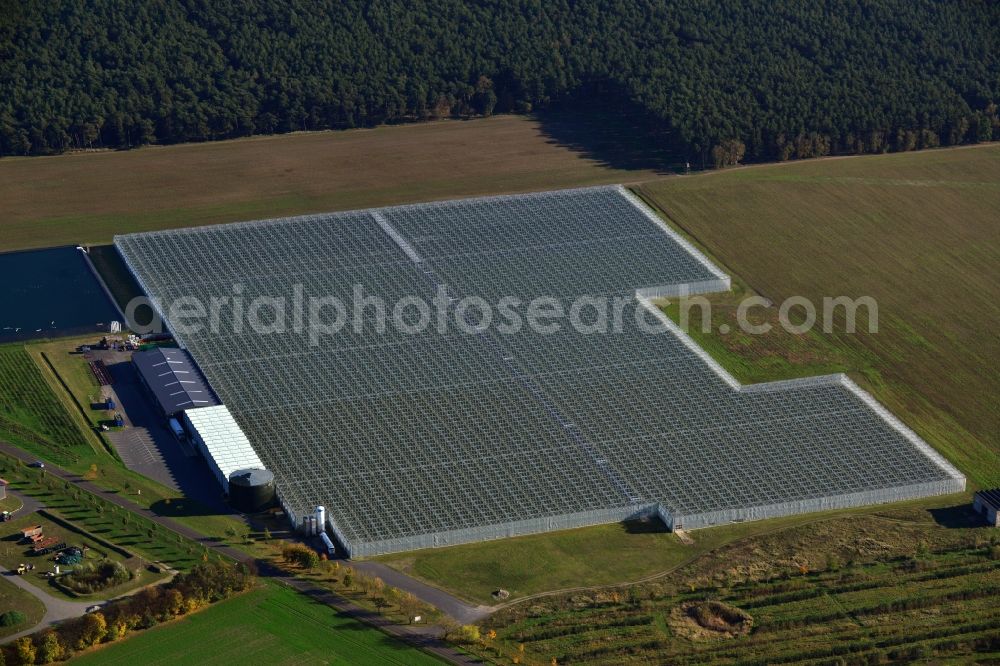 Felgentreu from above - Glass roof surfaces in the greenhouse for vegetable growing ranks in Felgentreu in the state Brandenburg, Germany