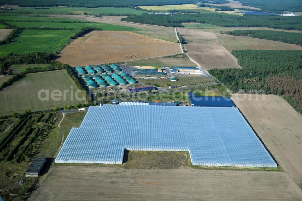 Aerial photograph Felgentreu - Glass roof surfaces in the greenhouse for vegetable growing ranks in Felgentreu in the state Brandenburg, Germany