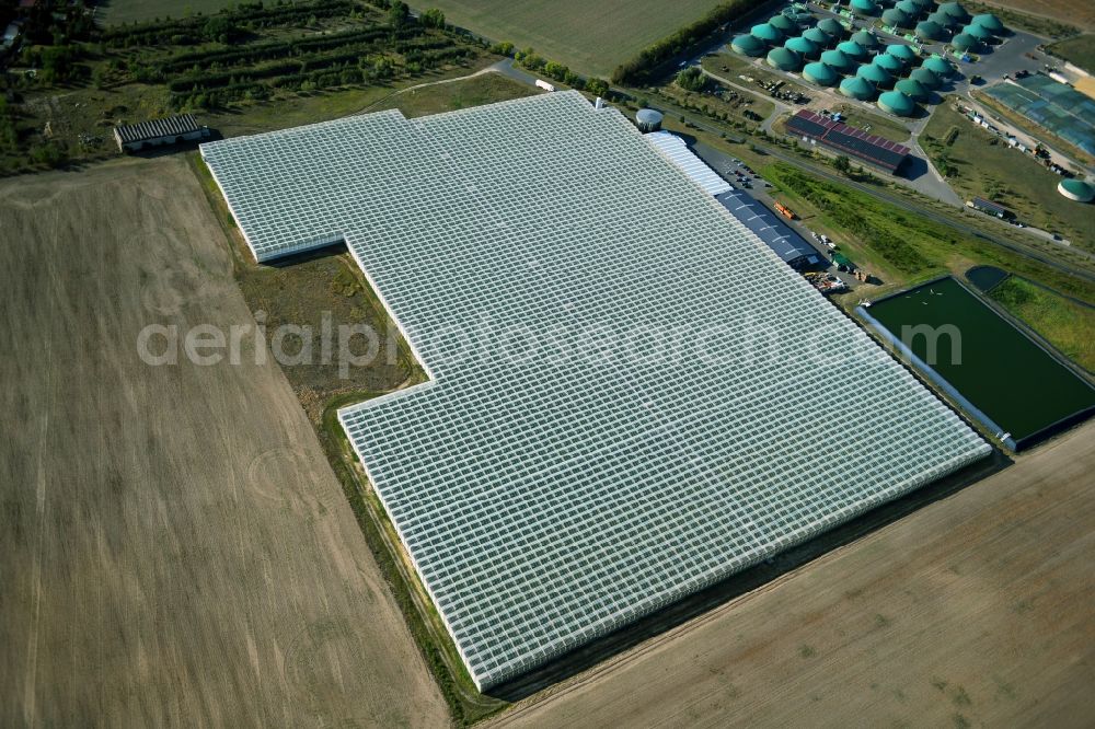 Felgentreu from above - Glass roof surfaces in the greenhouse for vegetable growing ranks in Felgentreu in the state Brandenburg, Germany