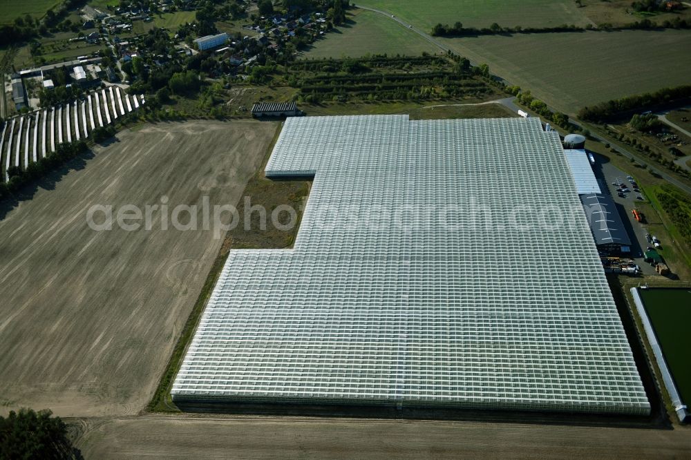 Aerial image Felgentreu - Glass roof surfaces in the greenhouse for vegetable growing ranks in Felgentreu in the state Brandenburg, Germany