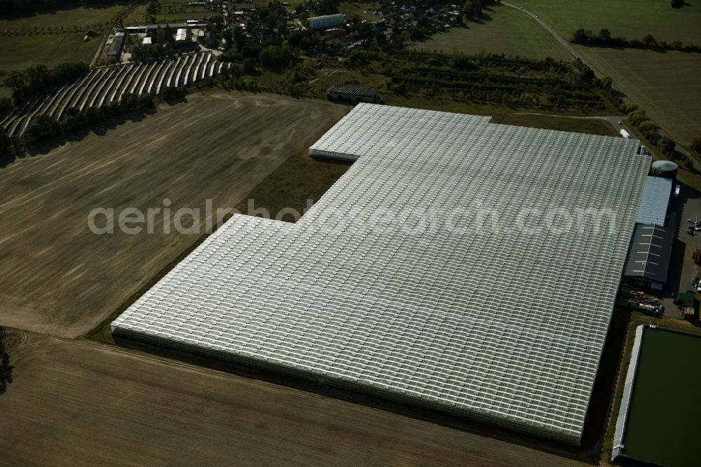 Aerial photograph Felgentreu - Glass roof surfaces in the greenhouse for vegetable growing ranks in Felgentreu in the state Brandenburg, Germany