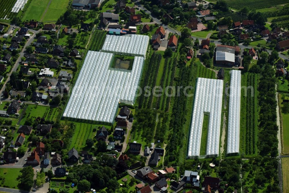 Grünendeich from the bird's eye view: Glass roof surfaces in the greenhouse for vegetable growing ranks in Gruenendeich in the state Lower Saxony, Germany