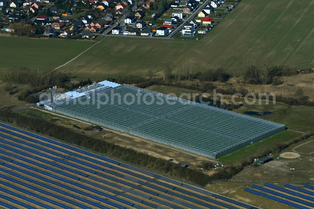 Eiche from the bird's eye view: Glass roof surfaces in the greenhouse for vegetable growing ranks of Havelia GmbH in Eiche in the state Brandenburg, Germany