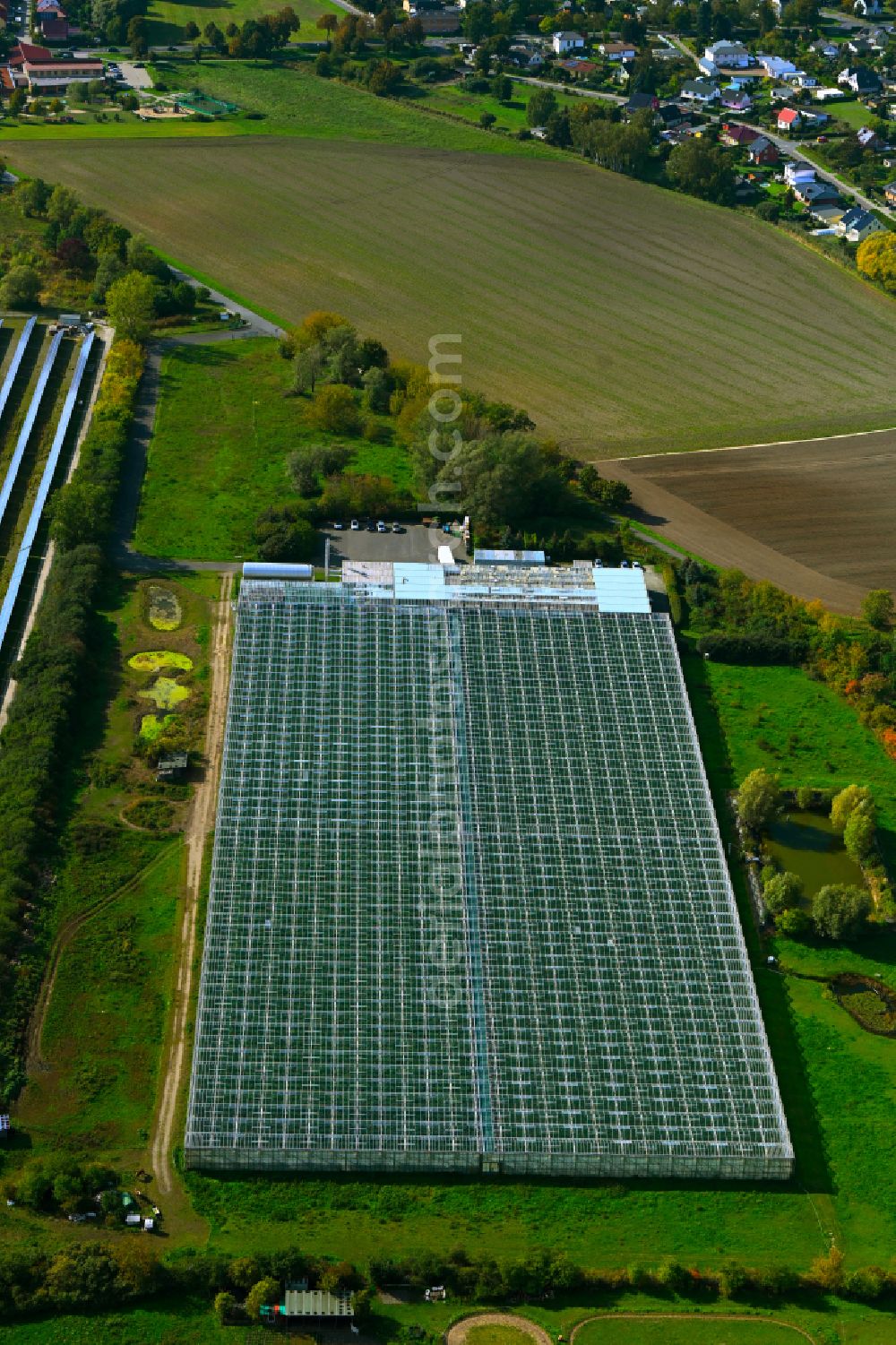 Aerial image Eiche - Glass roof surfaces in the greenhouse for vegetable growing ranks of Havelia GmbH in Eiche in the state Brandenburg, Germany