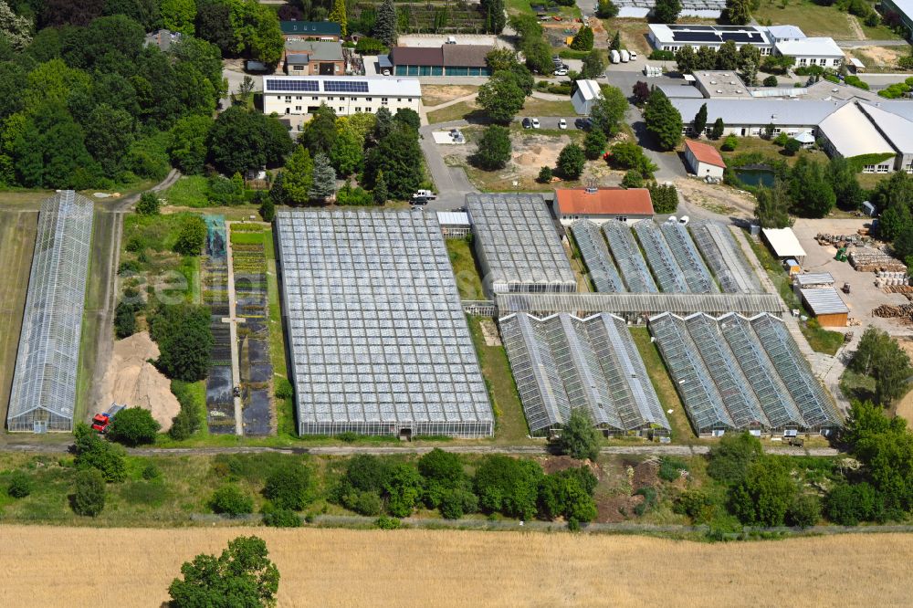 Aerial photograph Biesenthal - Glass roof surfaces in the greenhouse for vegetable growing ranks of Hoffnungstaler Werkstaetten gGmbH on street Sydower Feld in the district Gruental in Biesenthal in the state Brandenburg, Germany