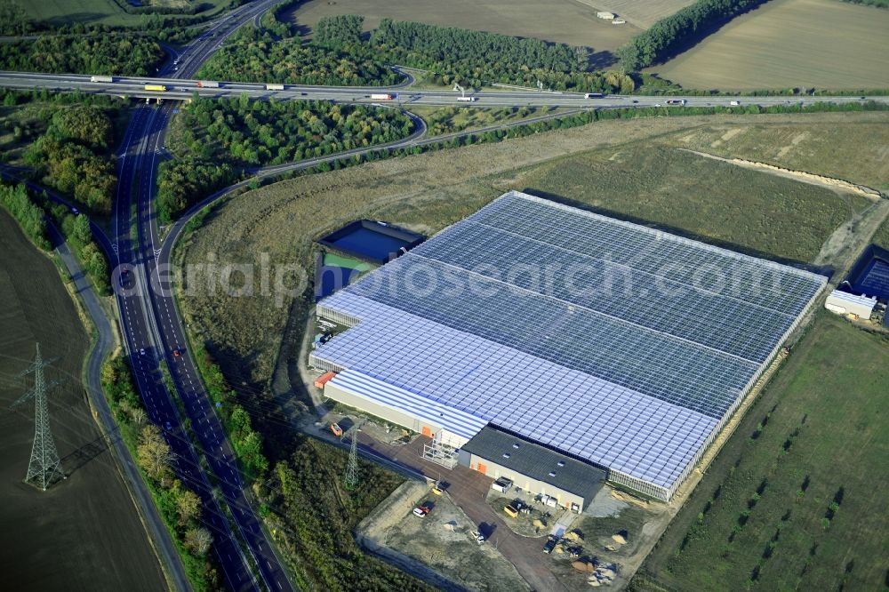 Osterweddingen from above - Glass roof surfaces in the greenhouse for vegetable growing ranks on Appendorfer Weg in Osterweddingen in the state Saxony-Anhalt, Germany