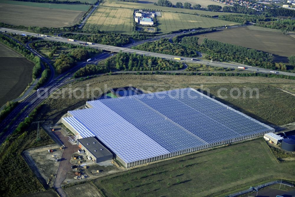 Aerial photograph Osterweddingen - Glass roof surfaces in the greenhouse for vegetable growing ranks on Appendorfer Weg in Osterweddingen in the state Saxony-Anhalt, Germany