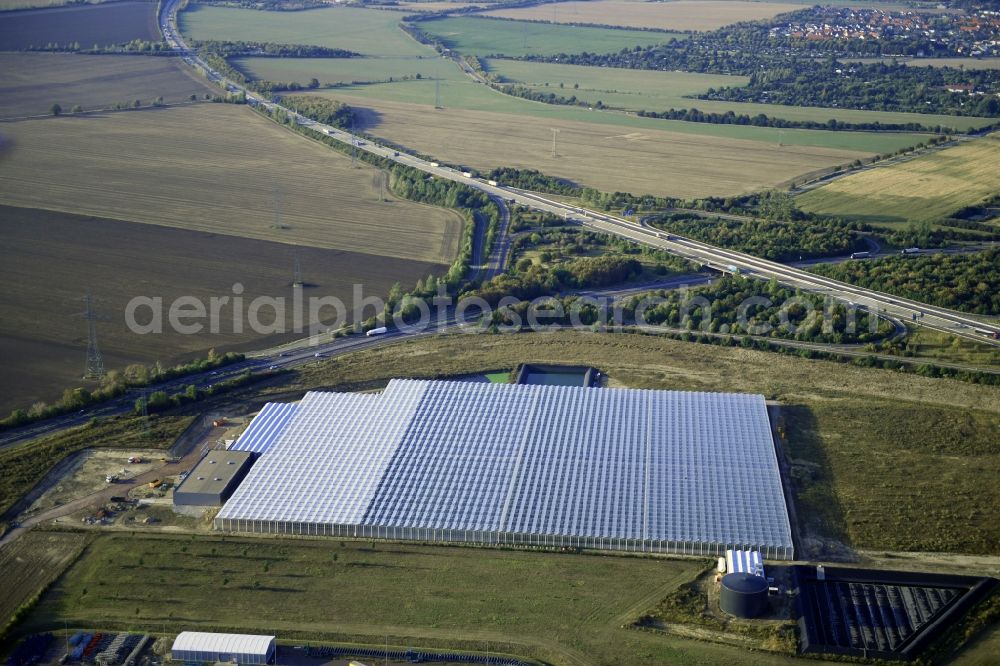 Osterweddingen from above - Glass roof surfaces in the greenhouse for vegetable growing ranks on Appendorfer Weg in Osterweddingen in the state Saxony-Anhalt, Germany
