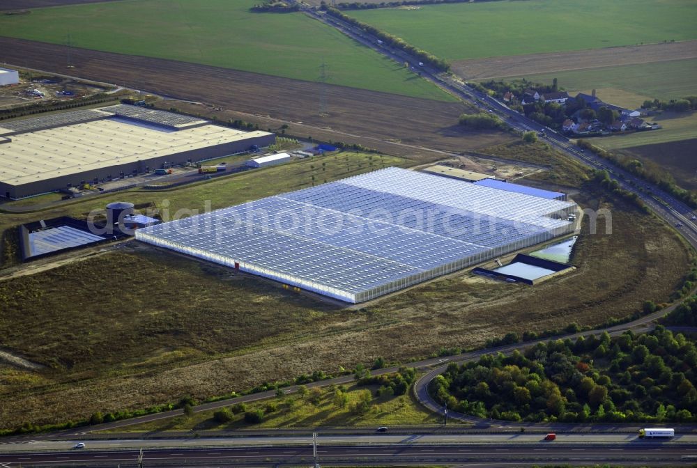 Aerial image Osterweddingen - Glass roof surfaces in the greenhouse for vegetable growing ranks on Appendorfer Weg in Osterweddingen in the state Saxony-Anhalt, Germany