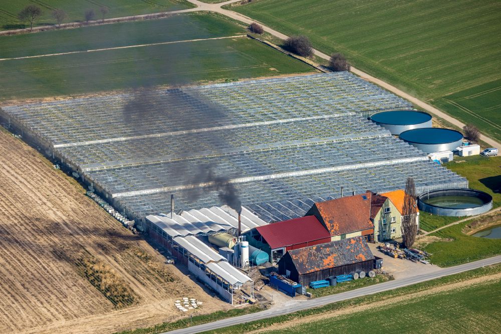 Aerial image Werl - Glass roof surfaces in the greenhouse for vegetable growing ranks Tomaten Stemann on street Bergstrasser Weg in Werl at Ruhrgebiet in the state North Rhine-Westphalia, Germany