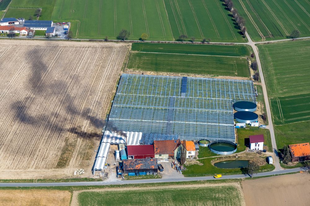 Aerial photograph Werl - Glass roof surfaces in the greenhouse for vegetable growing ranks Tomaten Stemann on street Bergstrasser Weg in Werl at Ruhrgebiet in the state North Rhine-Westphalia, Germany