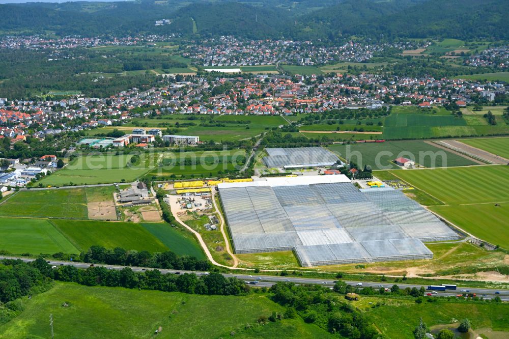 Aerial image Bickenbach - Glass roof surfaces in the greenhouse for vegetable growing ranks Truebenbach Gemuesejungpflanzen GmbH & Co. KG in Bickenbach in the state Hesse, Germany