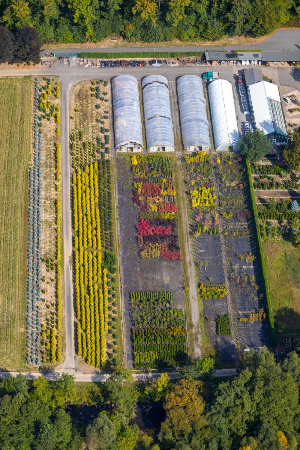 Aerial image Olsberg - Greenhouses, colourful flower beds in the nursery and tree nursery of the Arnold Gockel plant market in Olsberg in North Rhine-Westphalia, Germany