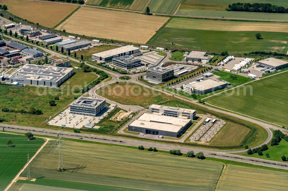 Rülzheim from the bird's eye view: Industrial estate and company settlement Carl-Benz-Strasse in Ruelzheim in the state Rhineland-Palatinate, Germany