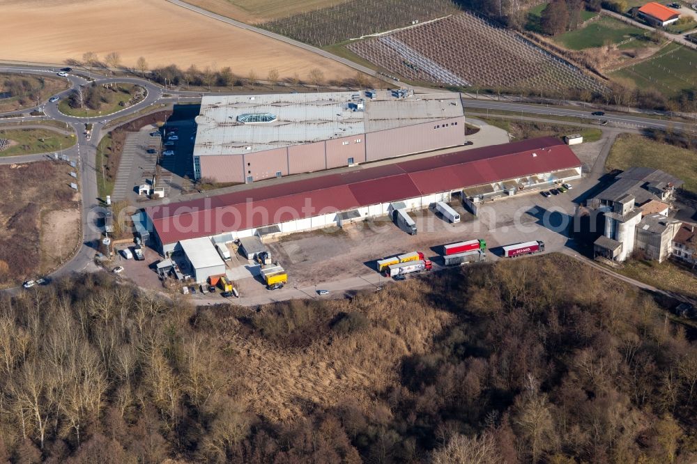 Herxheim bei Landau (Pfalz) from above - Industrial estate and company settlement Gewerbepark W 1 with Spedition NUSS and Einrichtungshaus Weber in Herxheim bei Landau (Pfalz) in the state Rhineland-Palatinate, Germany