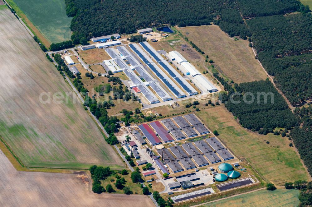 Grabow from the bird's eye view: Industrial estate and company settlement Gewerbepark Wanzlitz GmbH & Co. KG in Grabow in the state Mecklenburg - Western Pomerania, Germany