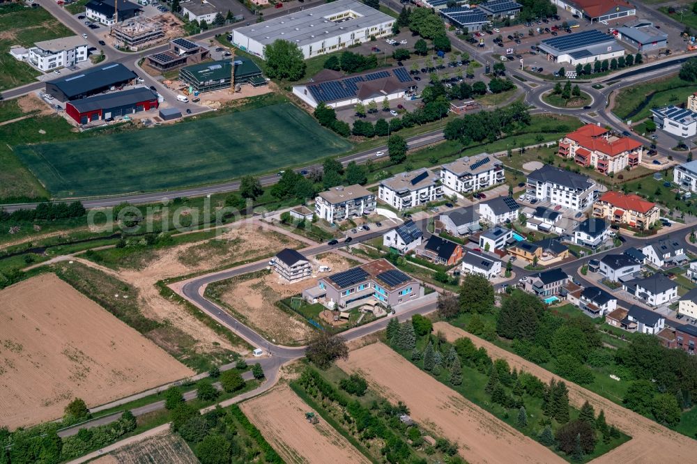 Ettenheim from the bird's eye view: Industrial estate and company settlement Radackern 4, in Ettenheim in the state Baden-Wurttemberg, Germany
