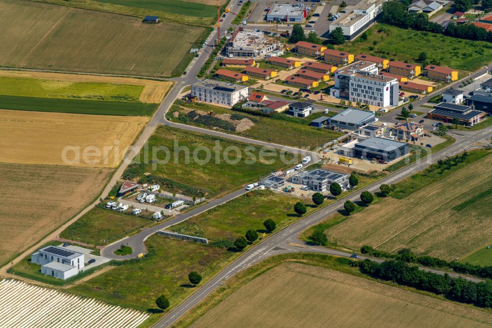 Aerial photograph Ringsheim - Industrial estate and company settlement Ringsheim West in Ringsheim in the state Baden-Wurttemberg, Germany