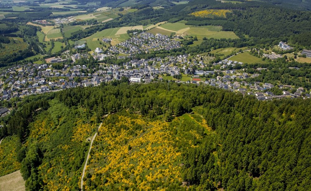 Medebach from above - Treetops in a wooded area in Medebach in the state North Rhine-Westphalia