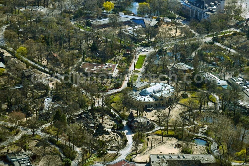 Aerial photograph Berlin - Giraffe building on the zoo grounds of the Zoologischer Garten (Zoological Gardens) in Berlin in Germany
