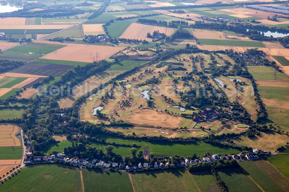 Aerial image Viernheim - Grounds of the Golf course at Heddesheim Gut Neuzenhof in Viernheim in the state Baden-Wuerttemberg, Germany