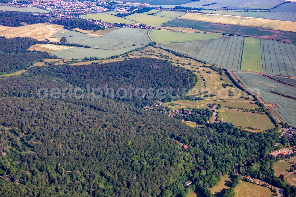 Aerial image Meisdorf - Grounds of the Golf course at of Landesgolfverbandes Sachsen-Anhalt e. V. on street Petersberger Trift in Meisdorf in the Harz in the state Saxony-Anhalt, Germany